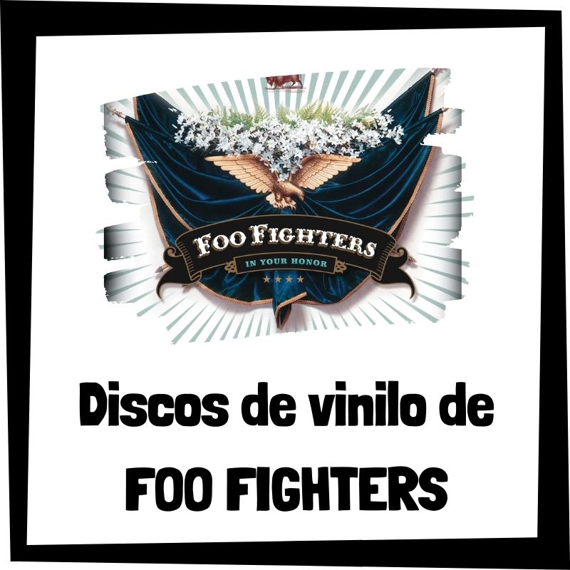 Lee más sobre el artículo Los 3 mejores discos de vinilo de Foo Fighters